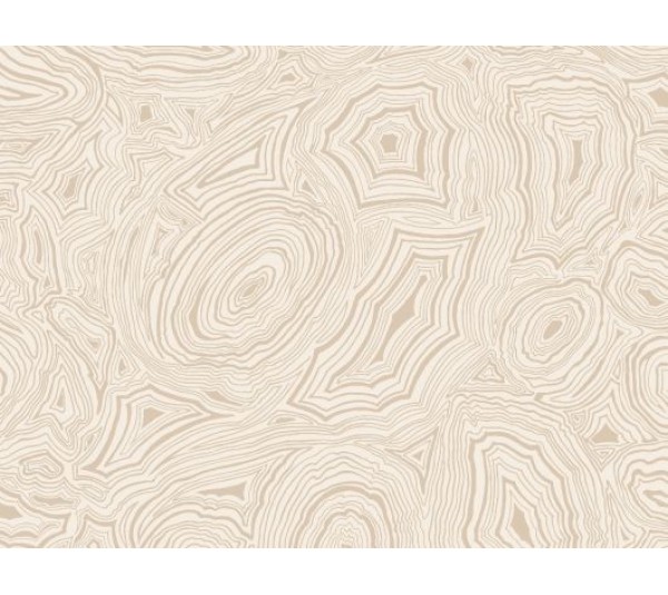 обои Cole & Son Fornasetti Senza Tempo  114/6011