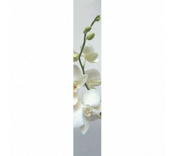 обои Caselio Accent ACE67180002