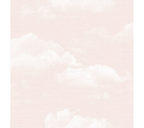 обои Shinhan Dream World A5119-1