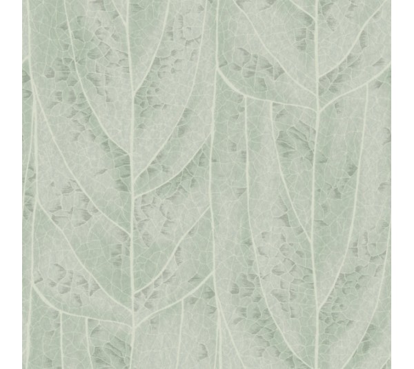 обои York Candice Olson Natural Discovery NT6141