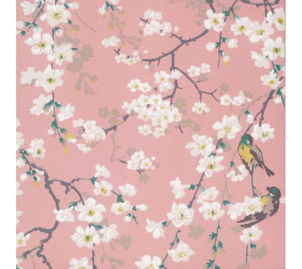 обои Little Greene National Trust Papers 2 0260MAORIEN