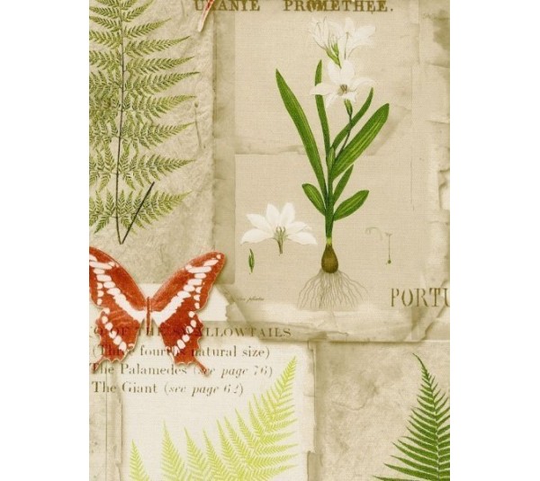 обои Aura Kitchen Story III FK34416