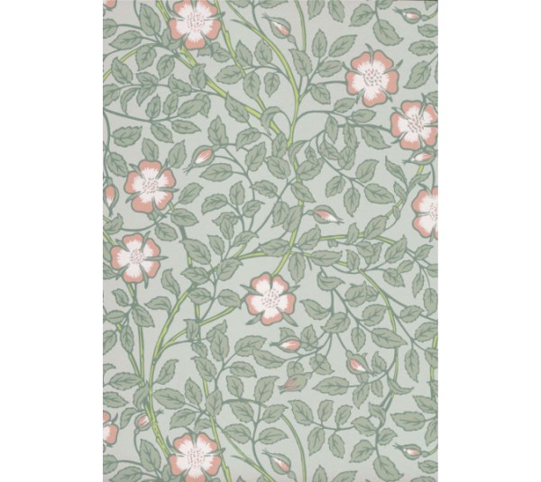 обои Little Greene National Trust Papers 3 0263BRSALIX