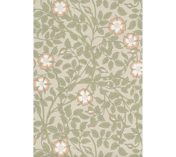 обои Little Greene National Trust Papers 3 0263BRGMIST