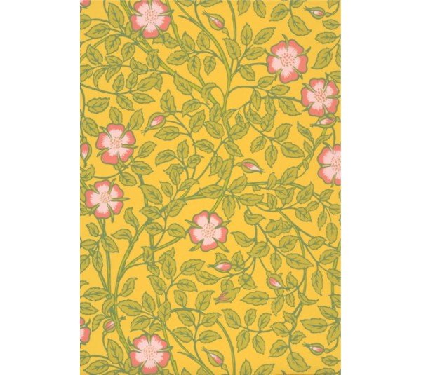 обои Little Greene National Trust Papers 3 0263BRINDIA