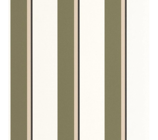 обои Caselio Graphic 105530753