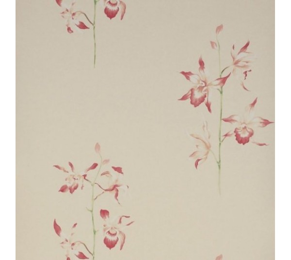 обои Sanderson Classic Collection 2 DCLAPO-102