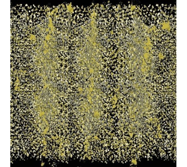 обои Emiliana Parati Roberto Cavalli home 5 RC16209