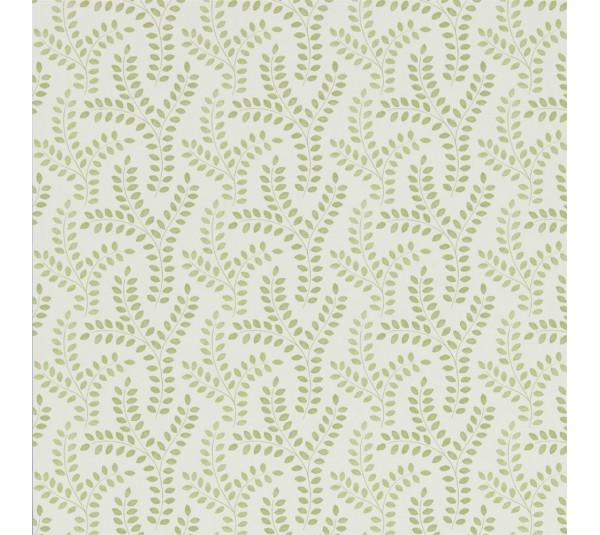 обои Sanderson Littlemor e 216887 обои Sanderson Littlemor e 216887