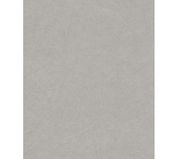 обои Rasch Concrete 520255