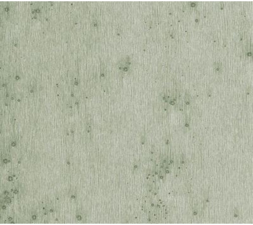 обои Arte Decors & Panoramiques 37512