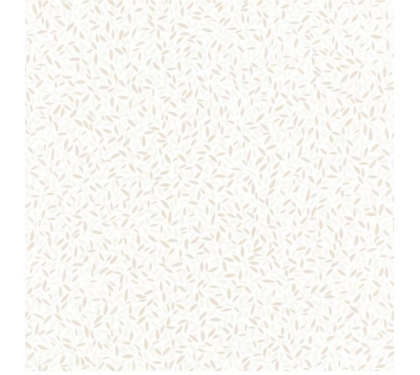 обои Caselio Jungle JUN100021111