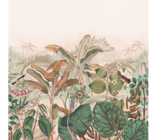 обои Rasch Curiosity 543667