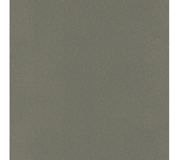 обои Rasch Club 418668