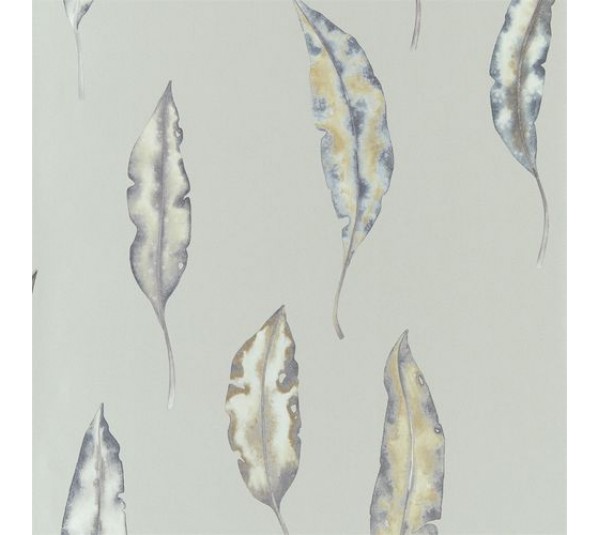 обои Harlequin Anthozoa 111656