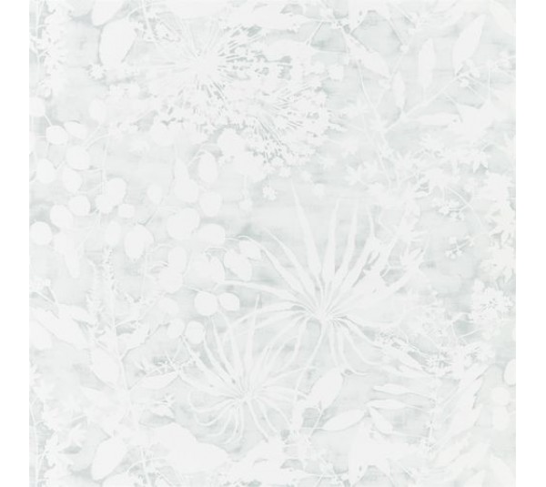 обои Harlequin Anthozoa 111639