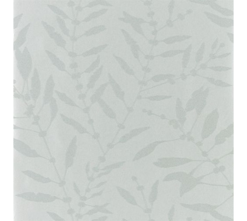 обои Harlequin Anthozoa 111658