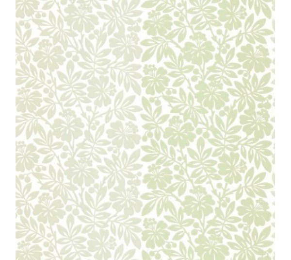 обои Little Greene Painted Papers 0286CTORCHA