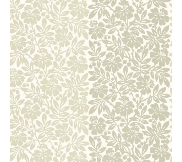 обои Little Greene Painted Papers 0286CTSOLTI