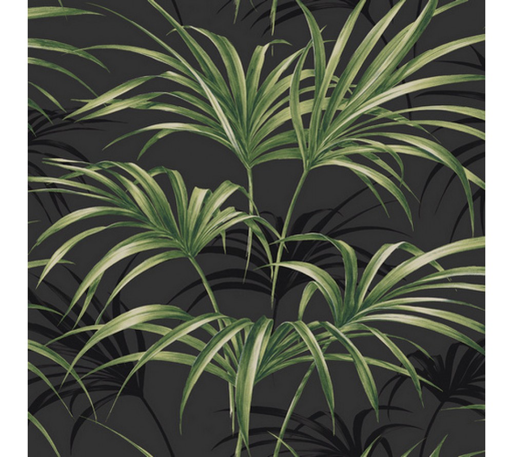 обои Wallquest Maui Maui  TP80600