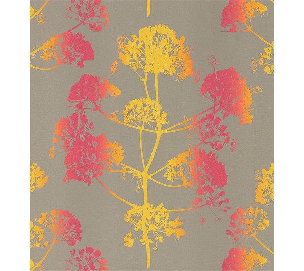 обои Harlequin Callista 111402