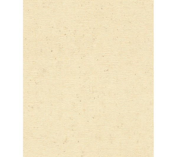 обои Rasch Concrete 520842