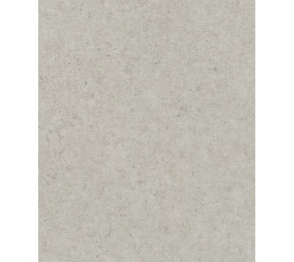 обои Rasch Concrete 520859