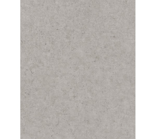 обои Rasch Concrete 520866