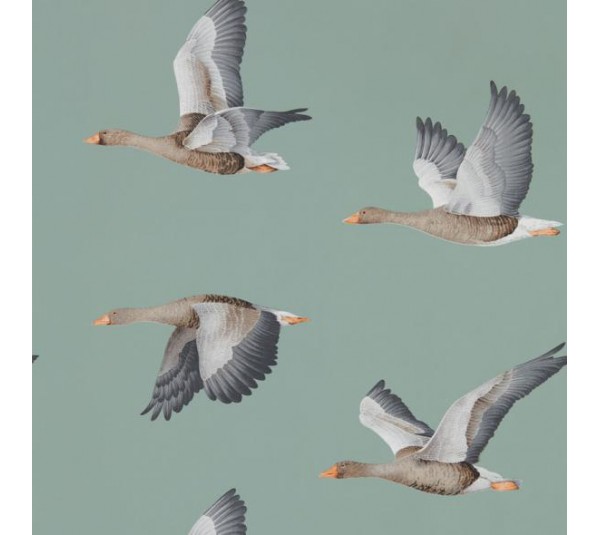 обои Sanderson Elysian 216610