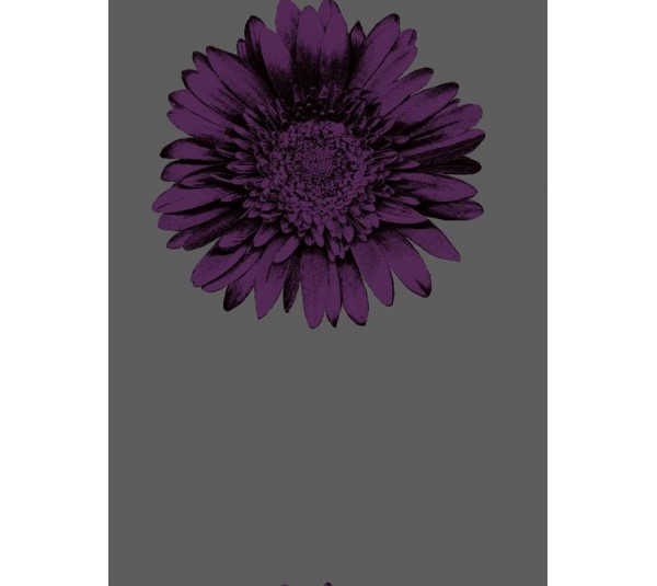 обои Wallquest Etchings  ET31600