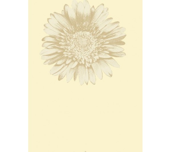 обои Wallquest Etchings  ET31603