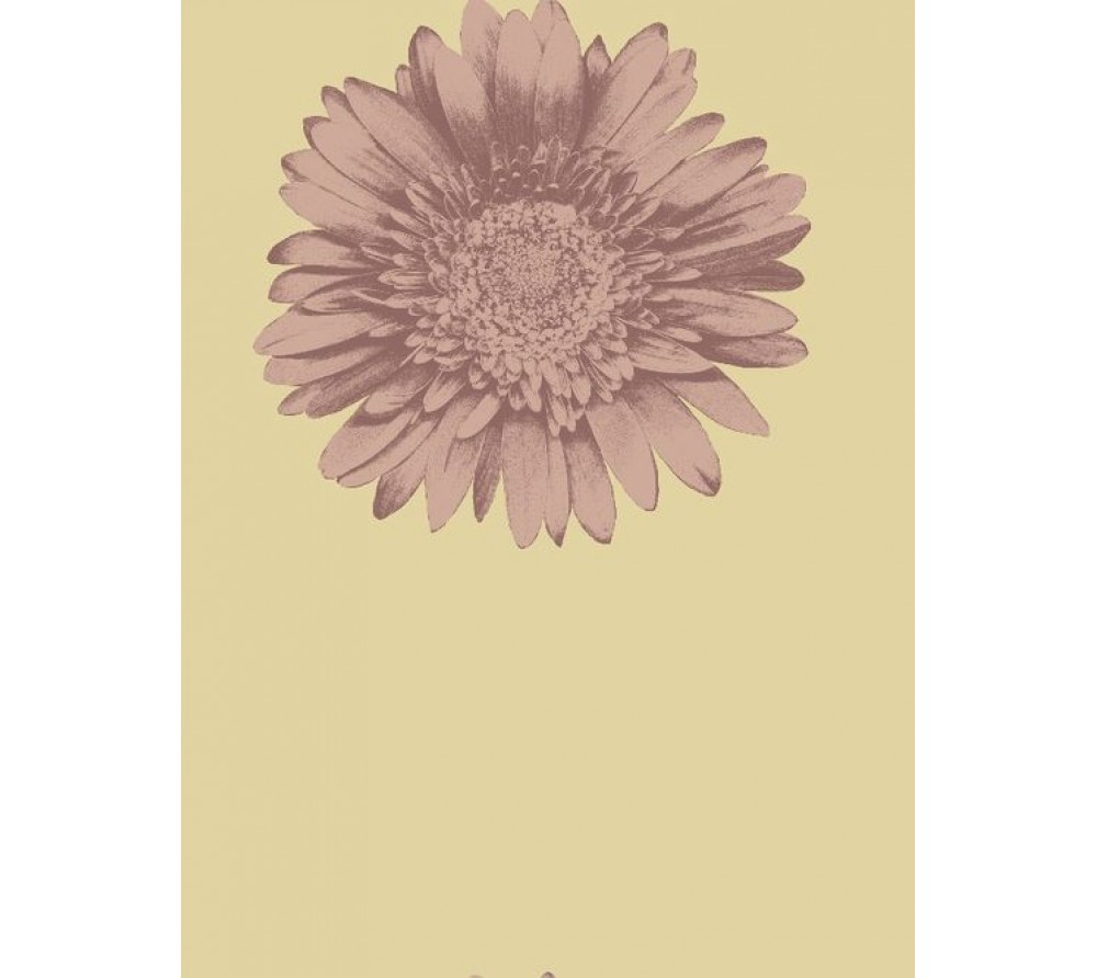 обои Wallquest Etchings  ET31609