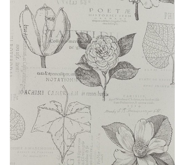 обои Collection For Walls Northern Feelings 200602