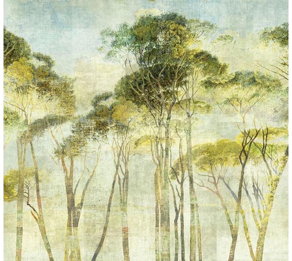 обои Khroma Wall Designs II DG2HYM1011