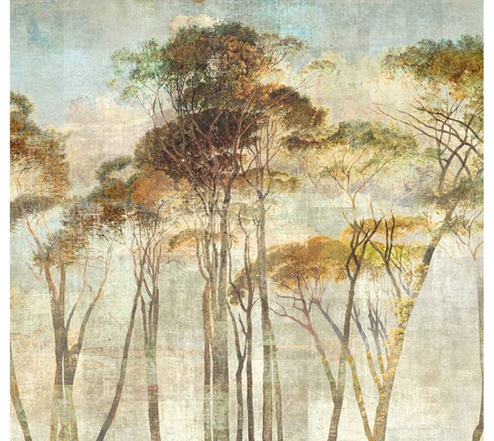 обои Khroma Wall Designs II DG2HYM1023