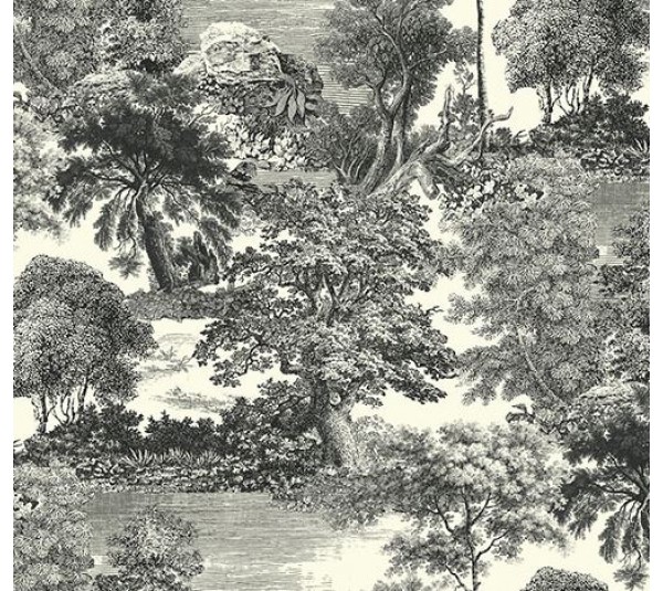 обои Khroma Wall Designs II DG2SAL1012