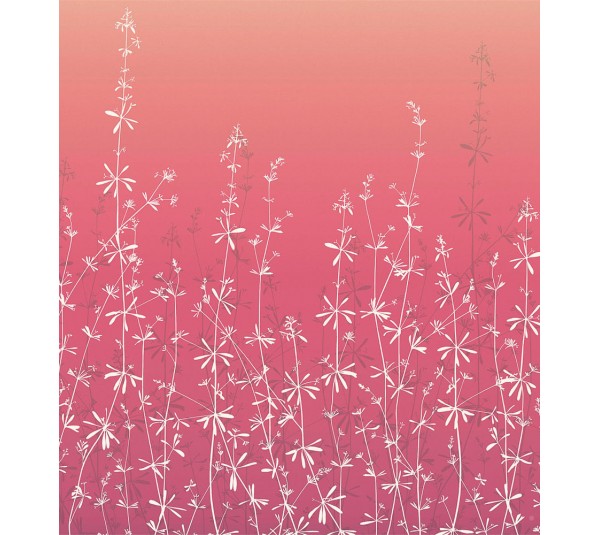 обои Harlequin Callista 111412