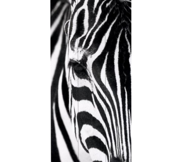 обои Caselio Black and White BTW6137-50-00