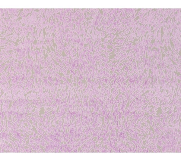 обои Designers Guild Aurelia FDG2257-11