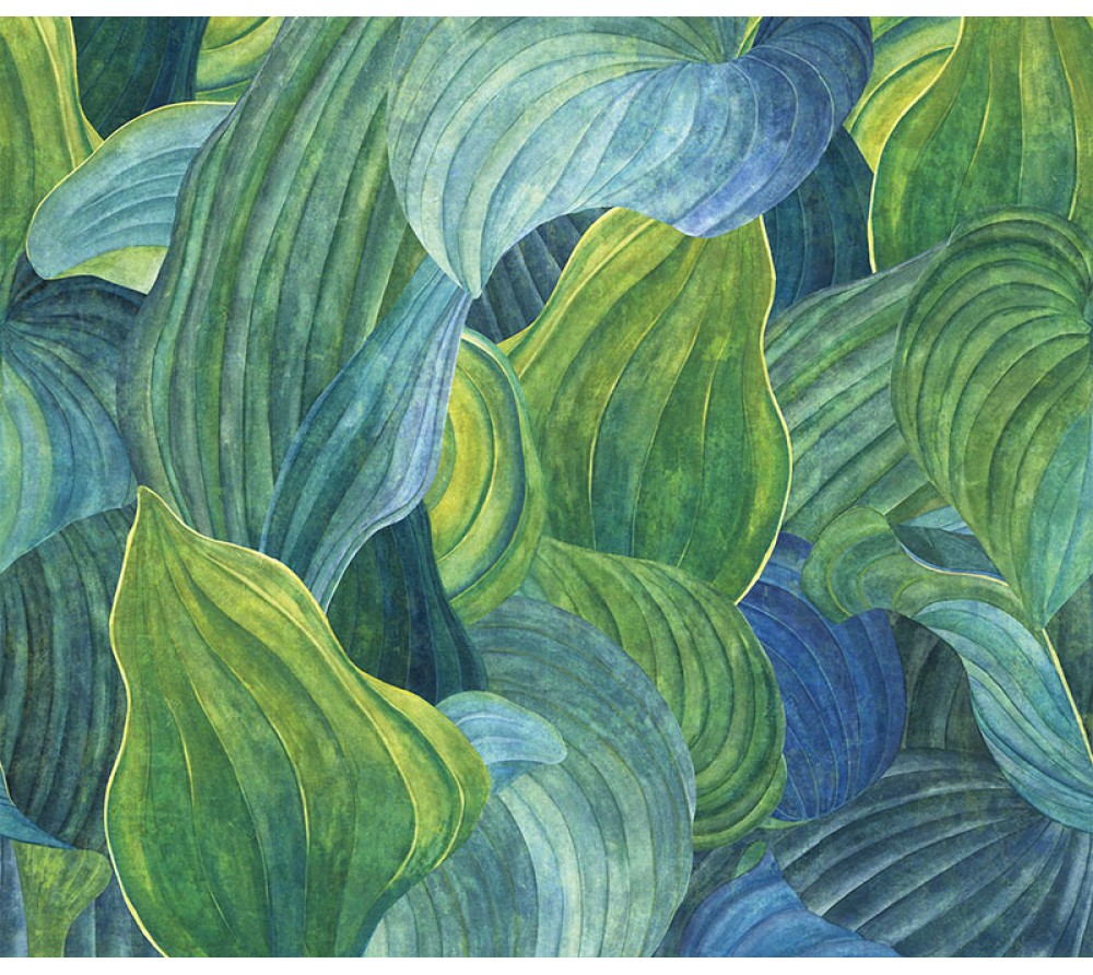 обои Khroma Wall Designs II DG2HOS1012