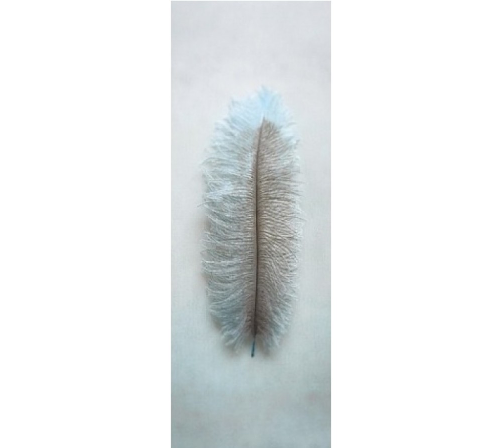 Французские обои Casadeco, каталог Innocence, артикул ICC27696132