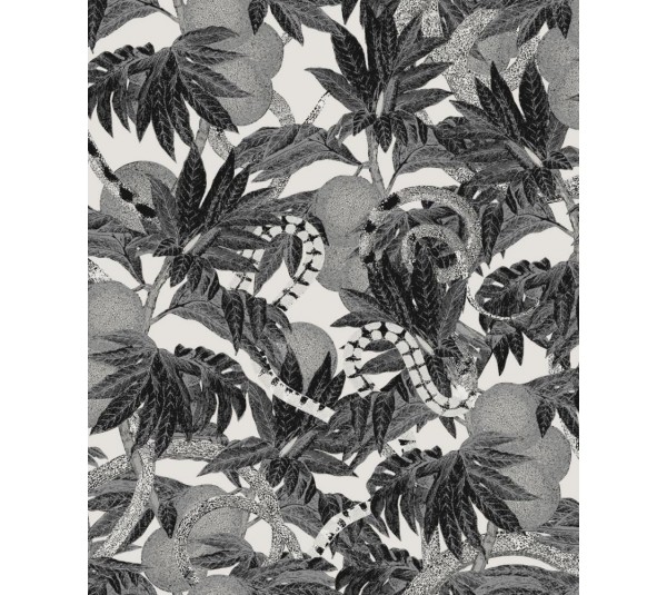 обои Khroma Cabinet of curiosities CAB202