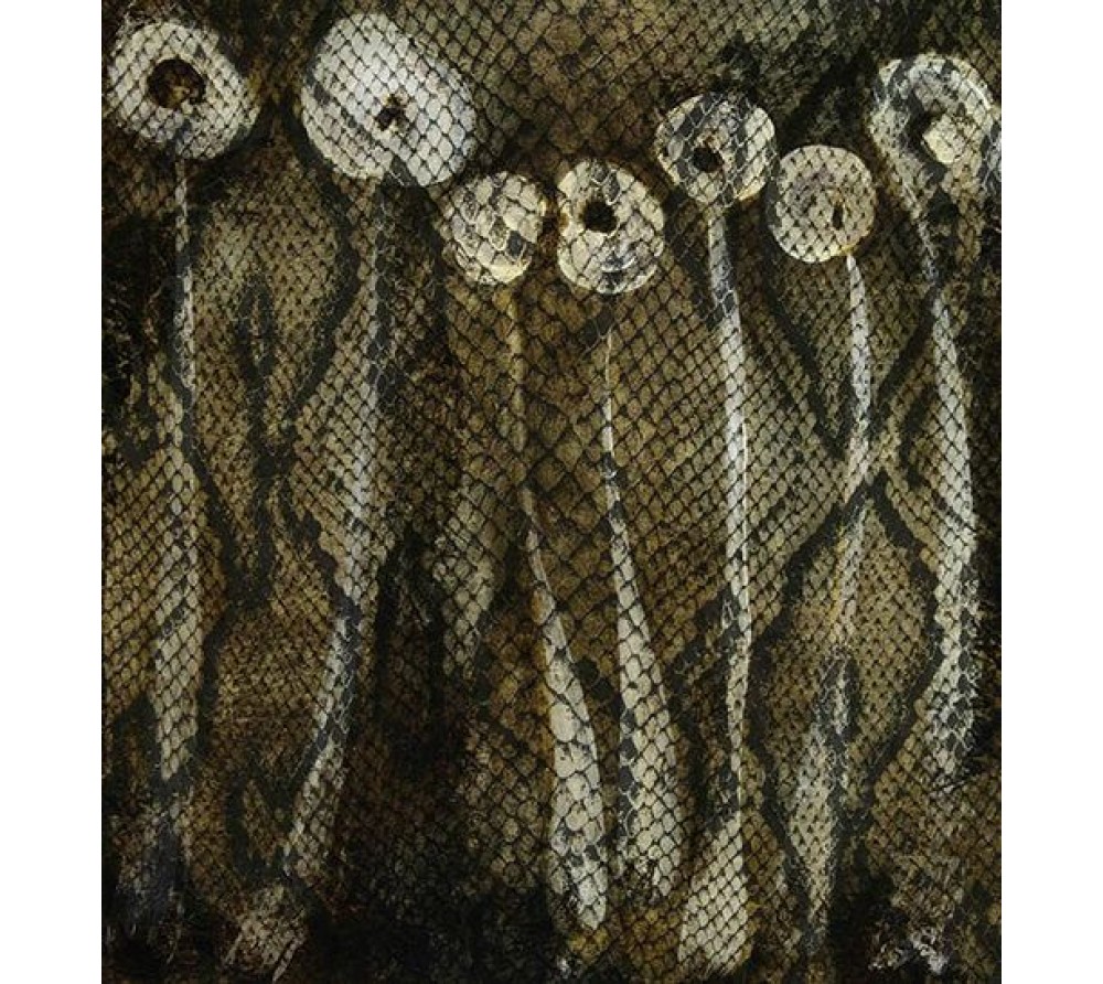 обои Q.Parete Creazioni CR304.001