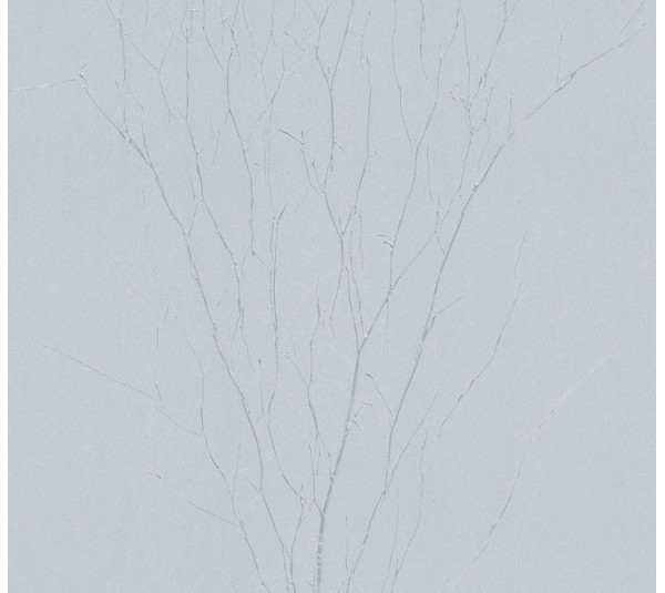 обои Marburg  Crush Motion 63424