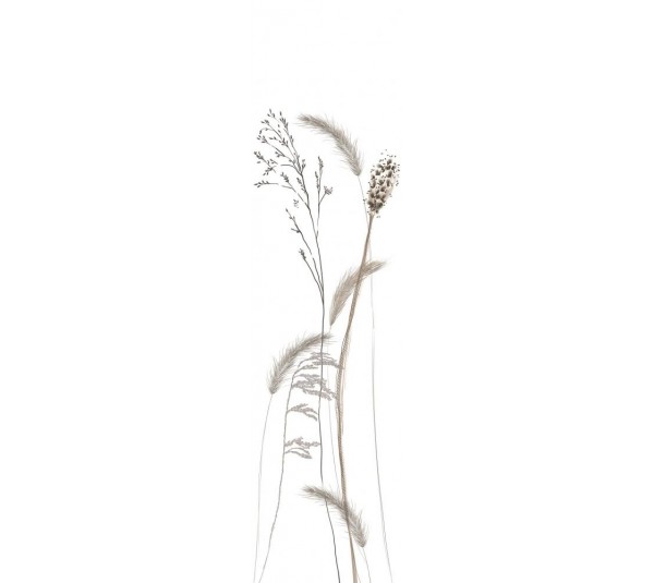 обои Marburg  Crush Motion 63486