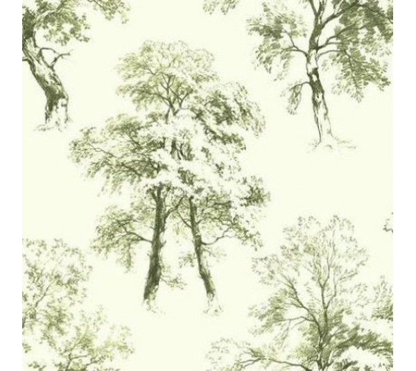 обои Ashford House Ashford Toiles AF1923