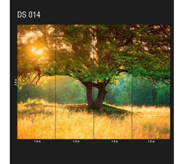 обои Loymina Illusion DS-014