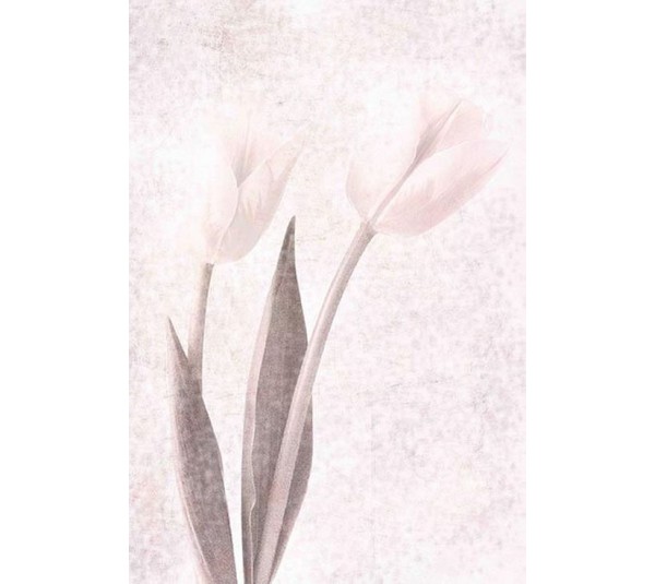 обои Q.Parete Fiore FI402.003