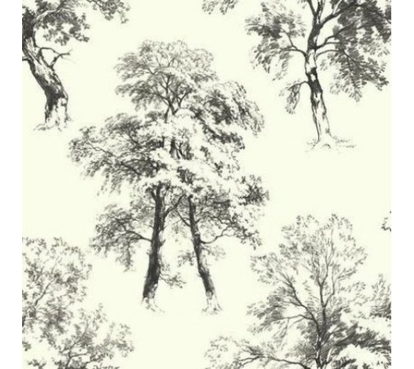 обои Ashford House Ashford Toiles AF1925