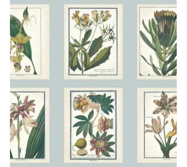 обои Ashford House Ashford Toiles AF1930